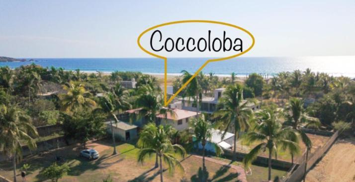 Coccoloba Guest House Puerto Escondido  Esterno foto